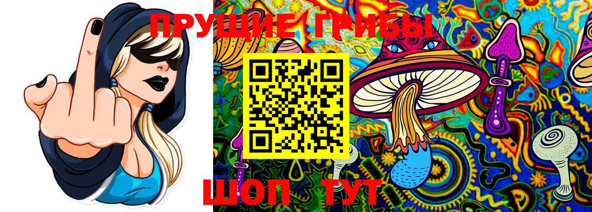 Кудрово  Галлюциногенные грибы прущие грибы  Вход с VPN 